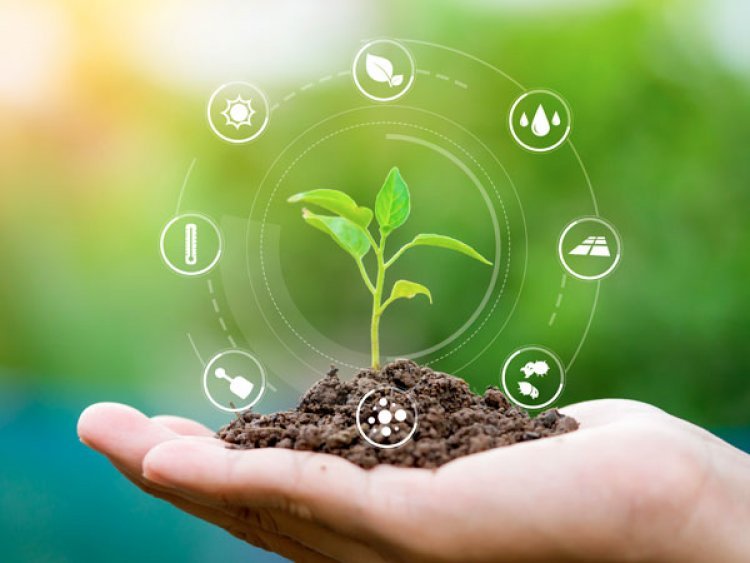 GREEN / SUSTAINABLE AGRICULTURE