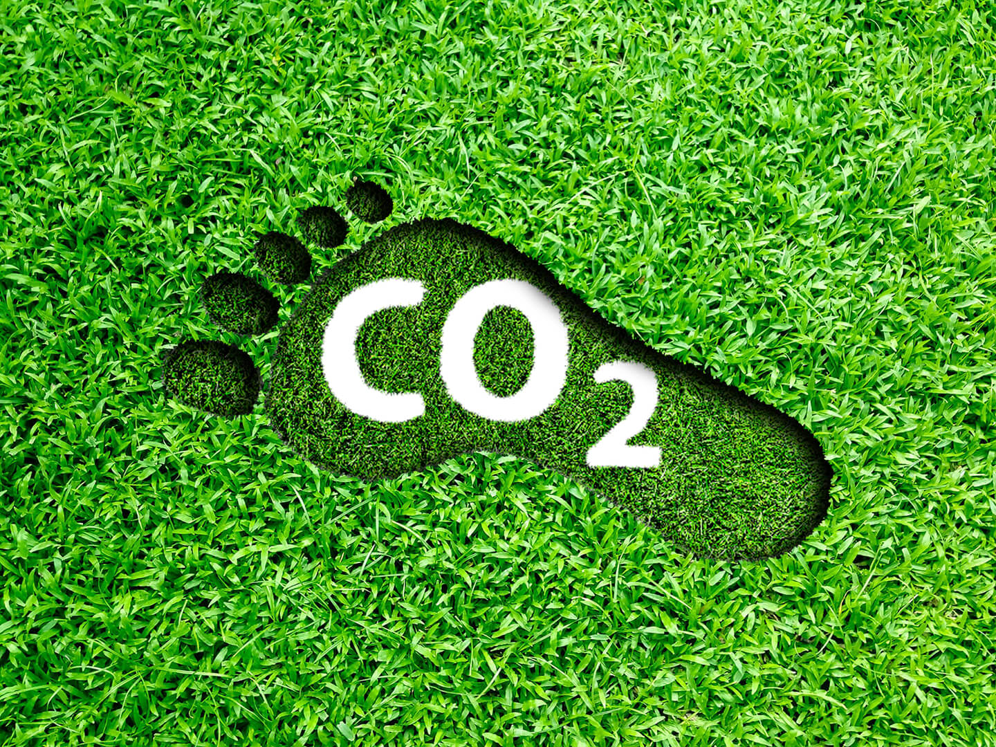 eSeminar: Carbon Footprint Calculator